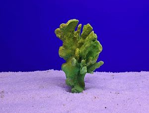 Кр-2517 Коралл бранч, Зелёно-Желтый 15х12×10 см