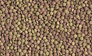 Корм Tetra Tablets TabiMin для сомов и донных рыб, 120 таб.