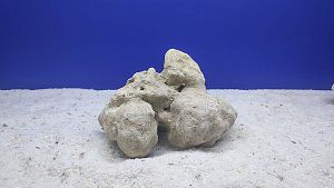 Камень сухой рифовый L, 15&times;20&nbsp;см, 800&minus;1200&nbsp;г