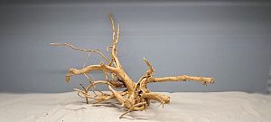 Коряга Сакура М, 30&minus;40&nbsp;см