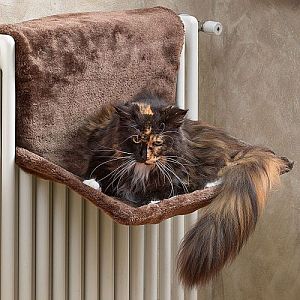 Гамак Ferplast CAT HAMMOCK для кошек, металл и искусственный мех, 50x50×24 см