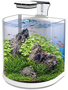 Аквариум дуговой Atman BGT-25&nbsp;белый, 10&nbsp;л, 25,4х21&times;26&nbsp;см&nbsp;в&nbsp;комплекте внутренний фильтр, LED светильник
