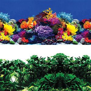 Фон Laguna «Обитатели рифа/Джунгли», 300×600 мм