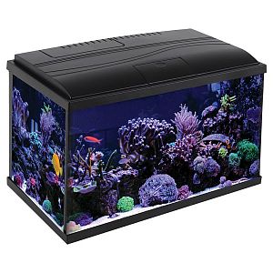 Аквариум Laguna Eclipse Dark, черный тонированный, 18,9&nbsp;л, 412х208&times;254&nbsp;мм