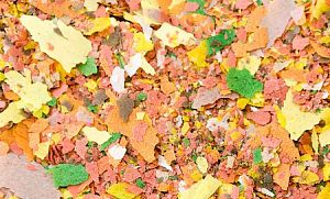 Основной корм Biodesign УНИВЕРСАЛ ЭКОНОМ для неприхотливых видов рыб, хлопья 5,8 л