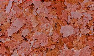 Основной корм Biodesign ХИТОЛАЙФ для стимуляции роста и&nbsp;окраски рыб, хлопья 11&nbsp;л