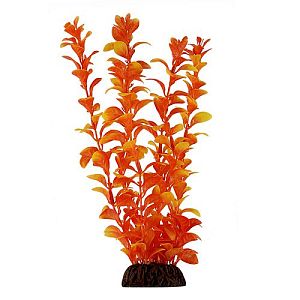 Растение Laguna «Людвигия» оранжевая, 200 мм