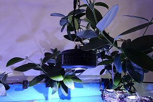 Светильник светодиодный Kessil LED A360X Tuna Blue, 90&nbsp;Вт