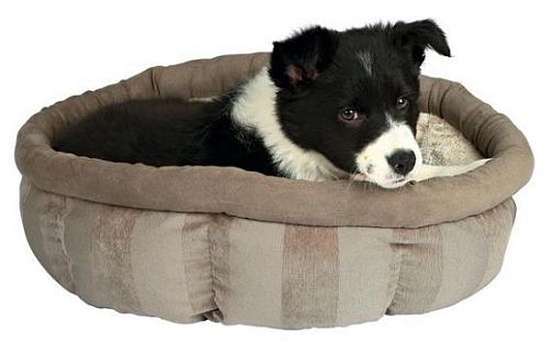 Лежак TRIXIE Leona с бортиком для собак, 45 см, бежевый, кремовый