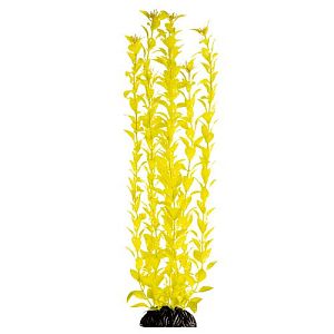 Растение Laguna «Людвигия» ярко-желтая, 500 мм