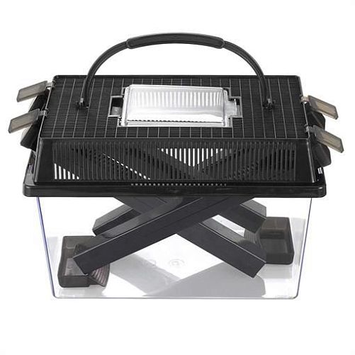 Контейнер для живого корма Gloxy CB-3, 27х17х18 см