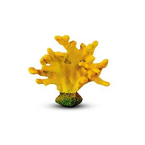 Коралл Веер Рогатый Оранжевый 14х7×14 см