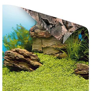 Фон-пленка Juwel Poster1 камни/растительный 150х60см