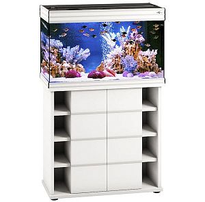 Аквариум Псевдоморе с тумбой STELLEX AQUA 135, 135 л, 81x38×132 см