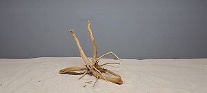 Коряга Сакура S, 15&minus;25&nbsp;см