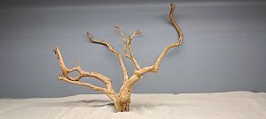 Коряга Сакура М, 30&minus;40&nbsp;см