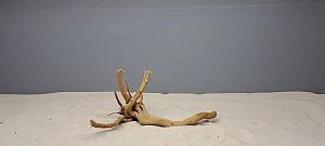 Коряга Сакура S, 15&minus;25&nbsp;см