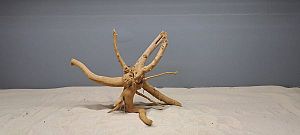 Коряга Сакура S, 15&minus;25&nbsp;см