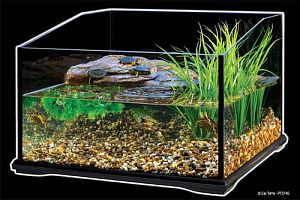 Exo Terra Turtle Terrarium террариум стеклянный для черепах, 45х45×30 см