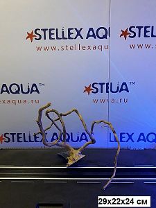 Коряга Aquael DRIFTWOOD S&nbsp;натуральная ветвистая, размер &laquo;S&raquo;, 15&minus;28&nbsp;см