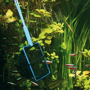 JBL Сачок крупноячеистый Premium, чёрный, 12&nbsp;см