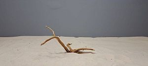 Коряга Сакура мини, до&nbsp;10&nbsp;см