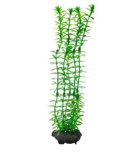 Пластиковое растение Barbus Элодея 30 см