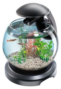 Tetra Cascade Globe аквариум круглый, черный, 6,8&nbsp;л