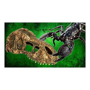 Убежище-декор Exo Terra Череп тираннозавра Рекса 15х7×7 см