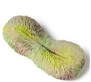 Кс-2047&nbsp;Фунгия (зелёный), 21*9*4&nbsp;см