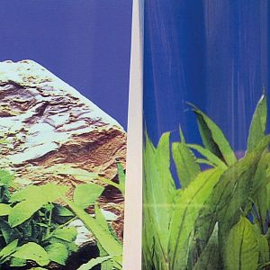 JBL FIXOL специальный клей для приклеивания аквариумных фонов, 50&nbsp;мл