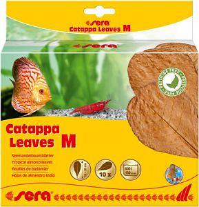 Листья индийского миндаля Sera Catappa Leaves M, 18 см