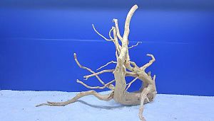 Коряга Сакура L, 40&minus;50&nbsp;см