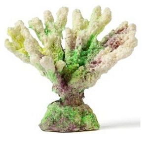 Кс-347&nbsp;Коралл акабария (зелёный), 9*5*7&nbsp;см