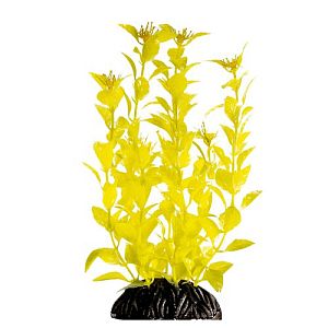 Растение Laguna «Людвигия» ярко-желтая, 200 мм