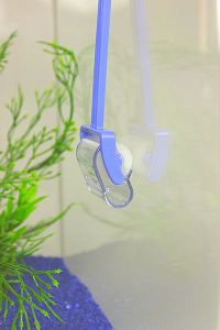 Приспособление Dennerle SnailCatcher для вылавливания улиток Приспособление Dennerle SnailCatcher для вылавливания улиток