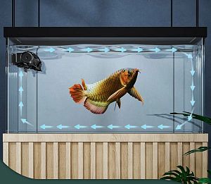 Помпа течения Jebao ECP-180&nbsp;с&nbsp;контроллером, 65&nbsp;Вт