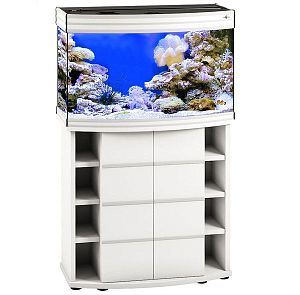 Аквариум Псевдоморе с тумбой STELLEX AQUA 135, 135 л, 81x41×132 см