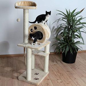Домик TRIXIE «Salamanca» для кошки, 138 см, бежевый