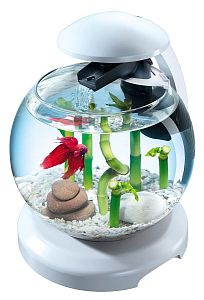 Tetra Cascade Globe аквариум круглый, белый, 6,8 л