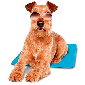 Охлаждающий коврик Ferplast PET COOL MAT для собак