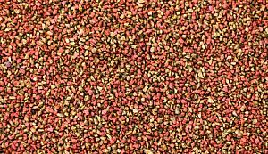 Корм Biodesign БАЗИК-ГРАН витаминизированный для всех видов рыб, тонущие гранулы 5,8&nbsp;л