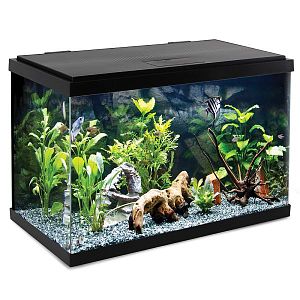 Аквариум Laguna Nimbus, черный, 37,8 л, 515х261×319 мм