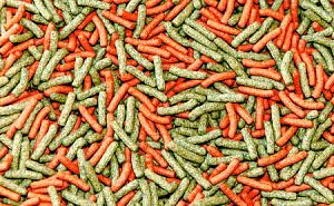 Основной корм Biodesign СУПЕР ЦИХЛИД для цихлид и хищников, плавающие палочки 11 л