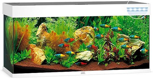 Аквариум JUWEL Rio 240 LED прямоугольный с оборудованием, 240л, белый, 1210*410*550мм