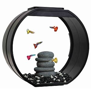 Аквариум AA-Aquariums «Deco O UPG», 20 л, черный, 395х207×375 мм