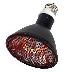 Обогреватель Repti-Zoo инфракрасный, 100&nbsp;Вт, 95&times;110&nbsp;мм