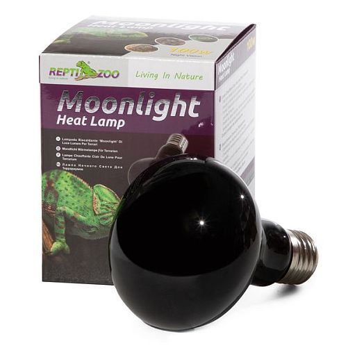 Лампа Repti-Zoo ночная "ReptiNightglow", 100 Вт