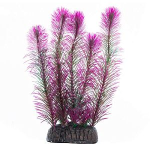 Растение Laguna «Перистолистник» фиолетовый, 200 мм