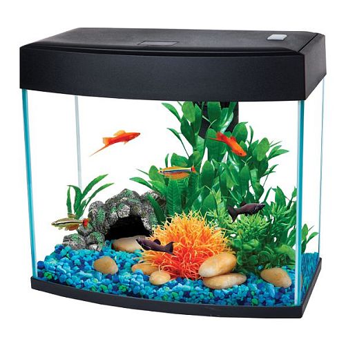 Аквариум AA-Aquariums BasicP 14 л, панорамный черный, 340х192х310 мм